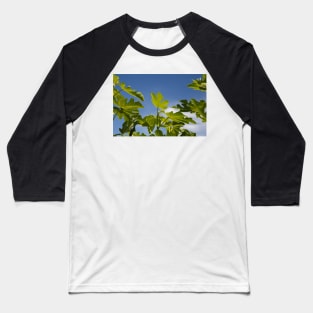 Fig Leaves Baseball T-Shirt